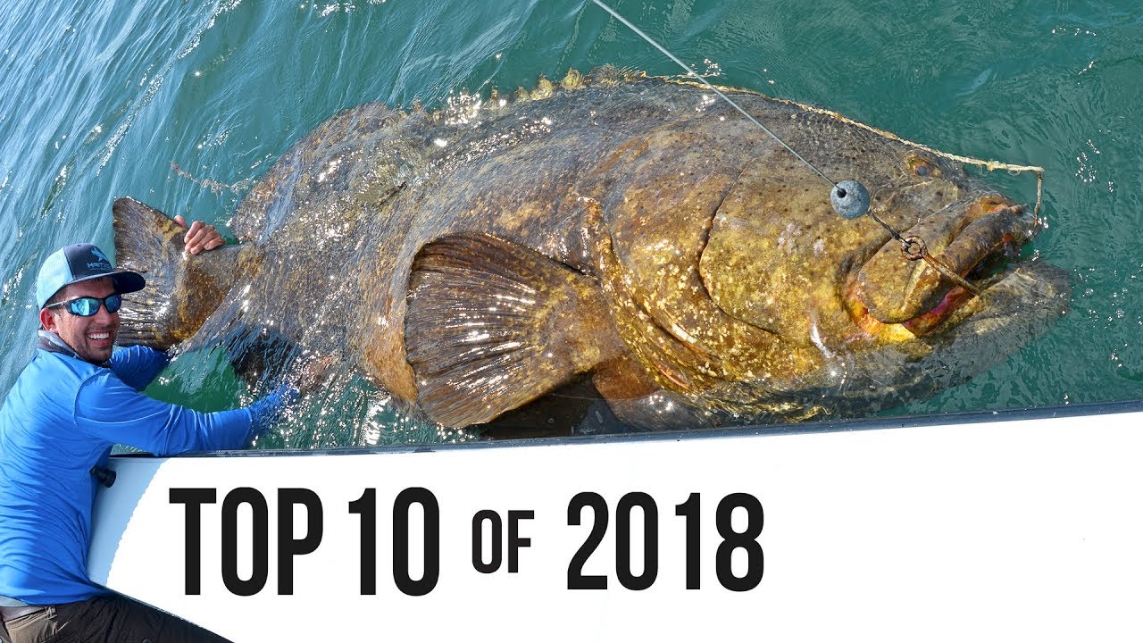 Top 10 Best Fishing Moments from 2018