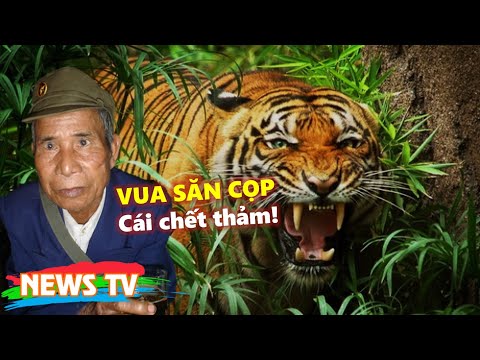 VUA SĂN CỌP và cái chết thảm!
