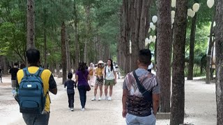 Hello Hàn Quốc..