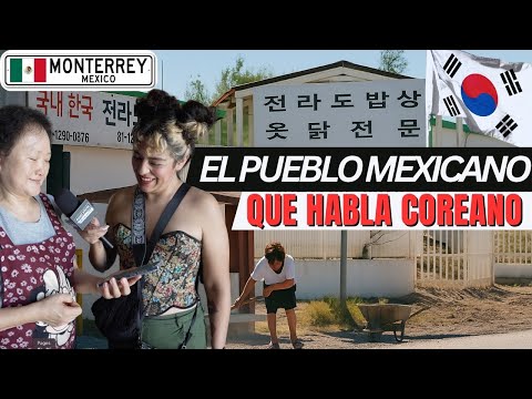 MILES de COREANOS VIVEN en MEXICO - Ruido Social