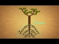 Cerrado Biome Knowledge Assessment