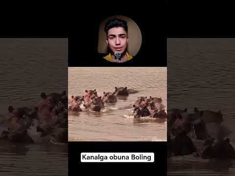Bolasi Uchun Qasos Oldi😱