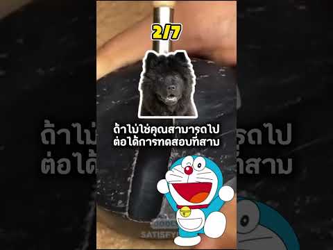 🎯 คุณกำลังถูกกำจัดหรือไม่?