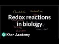 Understanding Oxidation and Reduction