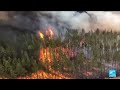Impact of Climate Change Questions