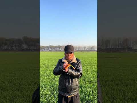 专属于80-90后的味道和记忆 来上一毛钱的辣条 三五好友 你一口我一口 感觉比肉都香 忘不了的童年味道 我的农村生活 一毛钱的辣条回忆 8090后
