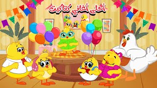 لولو والذئب + كوكو  واوا وتوت واحلى اغاني | كتاكيت بيبي 2025