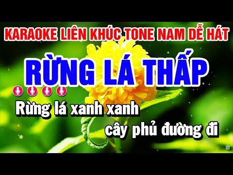 Karaoke Liên Khúc Nhạc Sống Rừng Lá Thấp | Giã Từ | Tone Nam