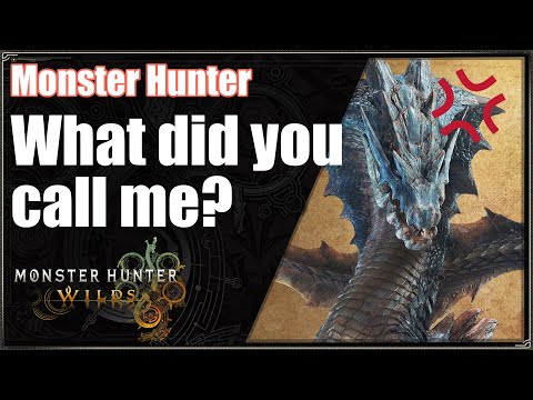 MHWilds | What did you call me?