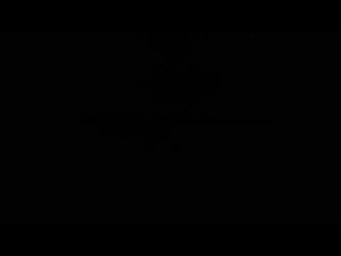 Filler Video (Read Description)