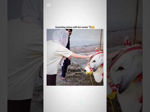 Surprising ghazal with qurbani janwers 🐄😊#shortsfeed #shorts #rajabfamily #edit #trending #4k