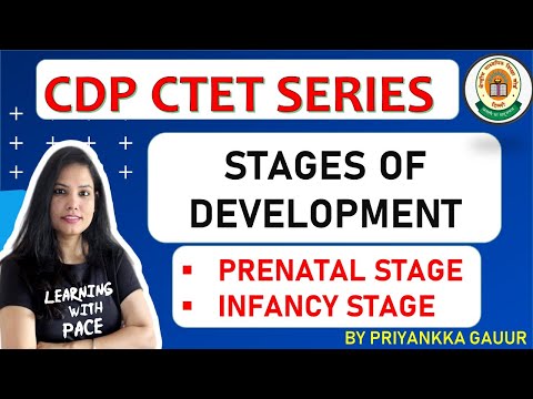 CDP - 1.5 Stages of Development: Prenatal Stage & Infancy Stage | CDP Classes by Priyankkaa Gauur