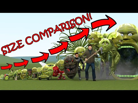 ALL NEWEST LIN GANG MELONS SIZE COMPARISON VS ALL ITALIAN BRAINROT MEMES In Garry's Mod!