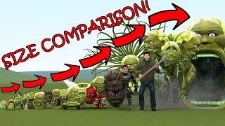 ALL NEWEST LIN GANG MELONS SIZE COMPARISON VS ALL ITALIAN BRAINROT MEMES In Garry's Mod!