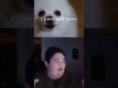 Sad meme (Finale)