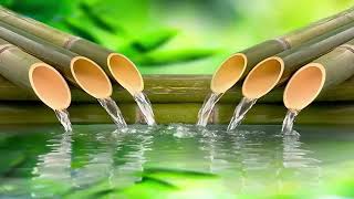 Música zen relajante: música de meditación, música tranquila, bambú, sonidos de la naturaleza