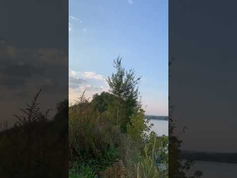 #sorts Сходили на рыбалку ...#fishing