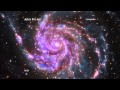 Amateur Astronomy and Collaboration Insights