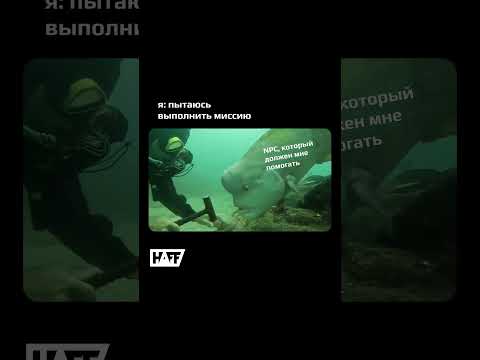 знакомая история? #haff #haffby #гейминг #npc #pc #пк #gaming