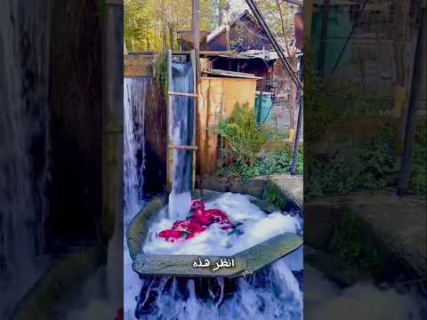 "أغرب غسالة في العالم… تعمل بدون كهرباء!"😱