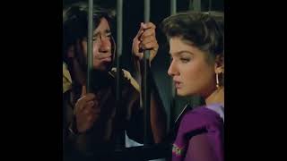 रवीना टंडन अजय देवगन से मिलने जेल में आती है #AjayDevgn #RaveenaTandon #Dilwale #Shorts