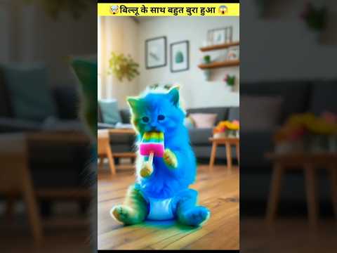 बिल्लू के इंफेक्शन हो गया 😱#shorts #ytshorts #cat