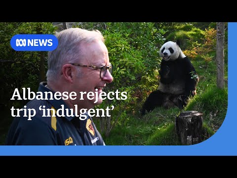 YouTube video thumbnail: Albanese Rejects Criticism of Visits to Pandas, Great Wall as 'Indulgent'