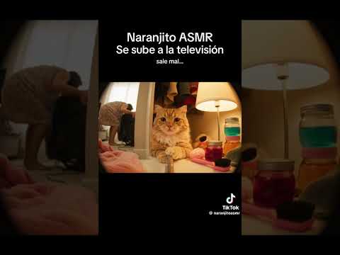 espero que la abuela me alle perdonado #humor #abuelita #ia