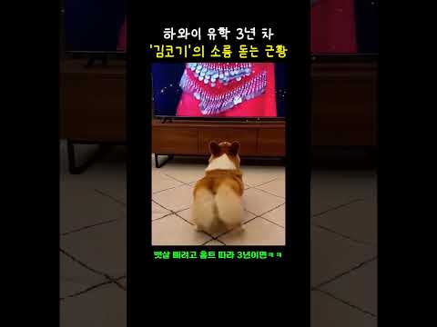 서당개 3년이면... 한다더니...