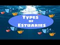 Understanding Estuaries