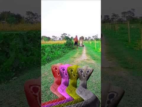 naray nakche#hqra#hqrq#shambhu#cnake aya#re video dekhi