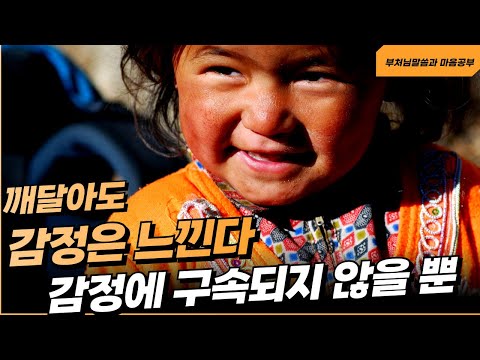 지혜로와도 감정은 느낀다, 감정에 구속받지 않을 뿐 - 부처님말씀과 마음공부(14-2)