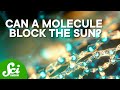 Understanding Monolayers and Their Applications