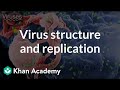 Understanding Viruses