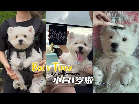 【生活Vlog】小白一岁啦! | 生日SPA & 出去玩