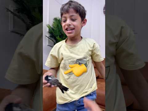 لزمنه البلبل 😹@ياني_وداني