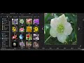 Flower Classification and Deep Learning Concepts