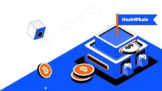 HashWhale_professional Bitcoin cloud mining and crypto wealth management platform.