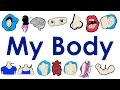 Exploring Body Vocabulary in English