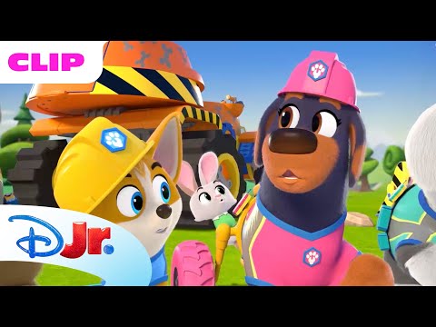 Cãostrução | Uma Construção Interminável