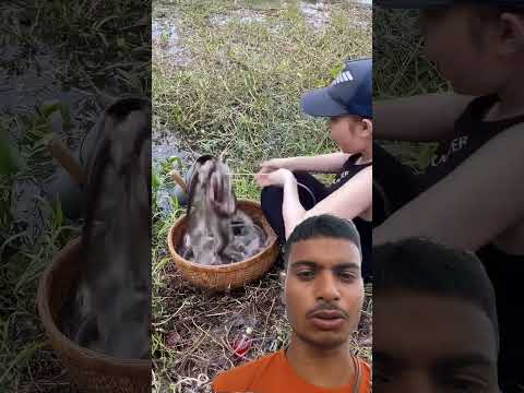 Duniya ki sabse pyari awaaj 🥰342 #azan #islamicvideos #islamicstatus #shortfeed #shorts #quran #azma