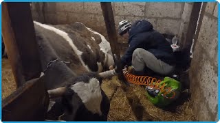 видео