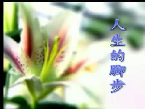 王雷 人生的脚步 伴奏