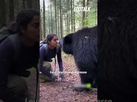 Les dangers de l’IA