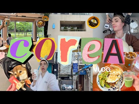 vlog l FELIX MANUEL Y YO TUVIMOS LA PELEA DEFINITIVA! 😰🇰🇷 lo que NADIE esperaba + días PRODUCTIVOS