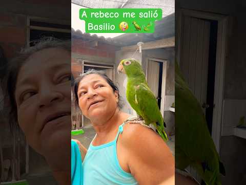 Repite conmigo rebeco #yosoydelos7mil #elpersonajedelasemana #parrot