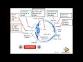 Functions and Structures of the Eye