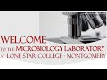 Laboratory Safety Procedures and Protocols