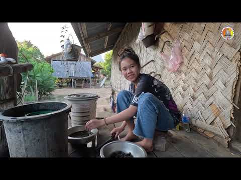 ไม่คิดว่ากลางป่าลึกแบบนี้นี้ยังมีคนงามเานนางฟ้า Beautiful Lao Girl in the country