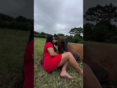 La vida del CAMPO